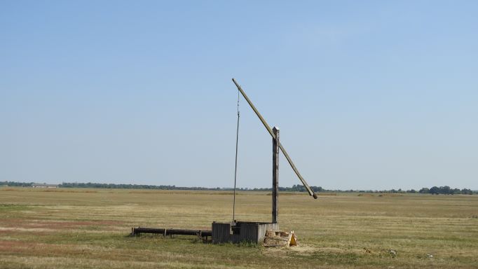 DSCN2878