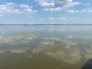 IMG_0035
