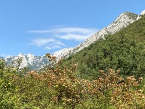 IMG_0582