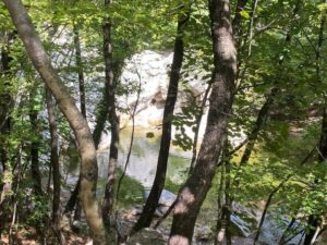 IMG_0585