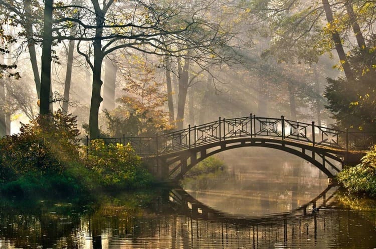 Brücke im Wald über Fluss