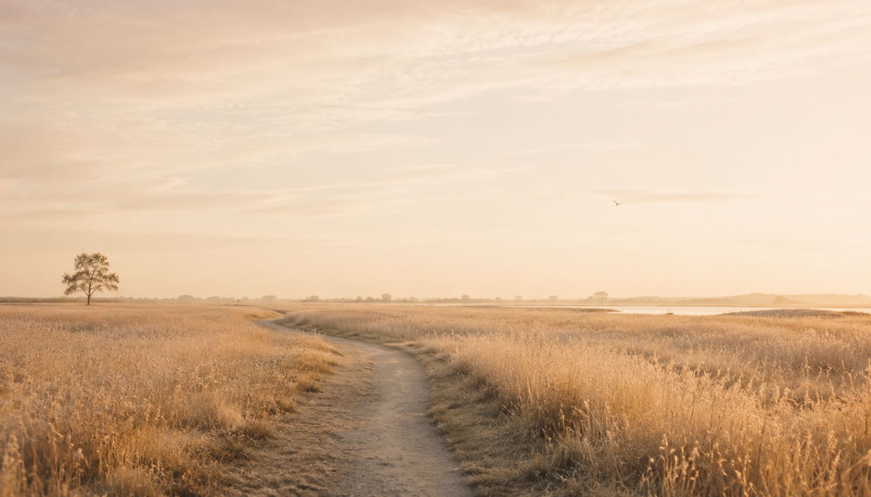 andrea-stoye-mein-weg-norddeutsche-landschaft
